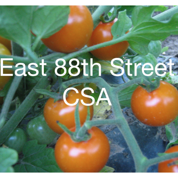 logo for East 88th Street CSA