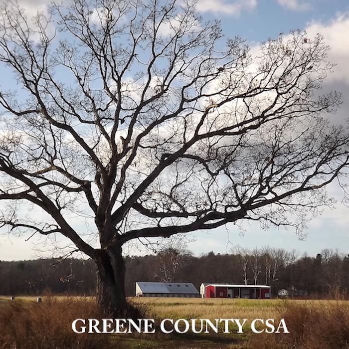 logo for Greene County CSA 