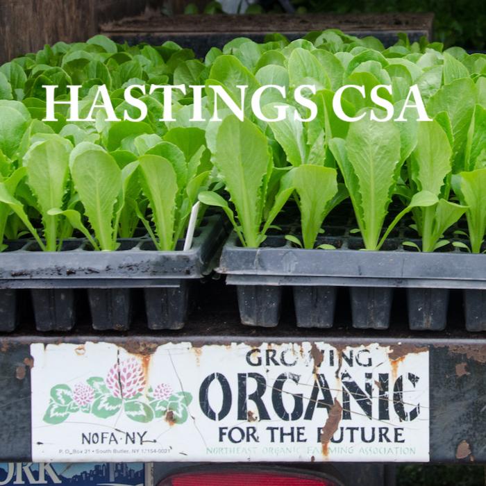 logo for Hastings CSA