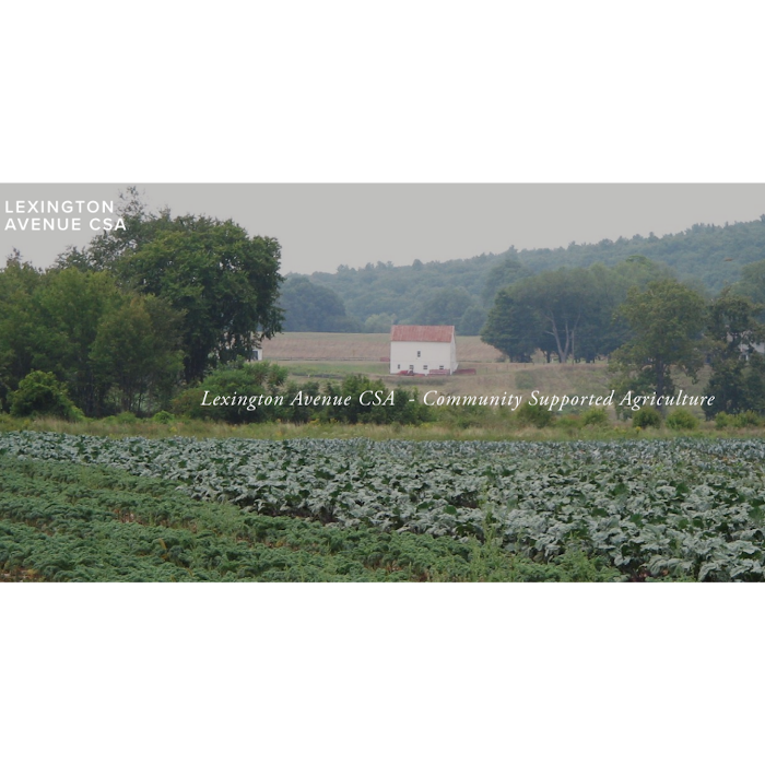 logo for Lexington Ave CSA