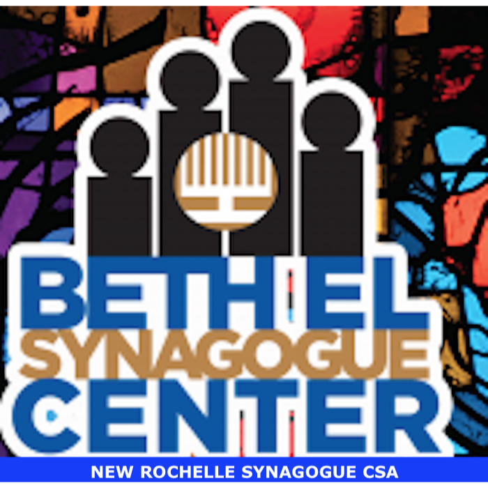 logo for New Rochelle Synagogue CSA