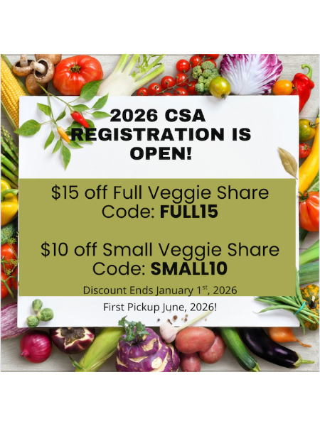 2026 CSA Discounts | Test