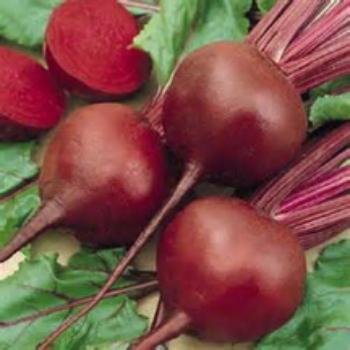 Beet Chocolate Cupcakes