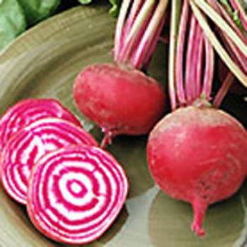 Baked Beets Over Salt