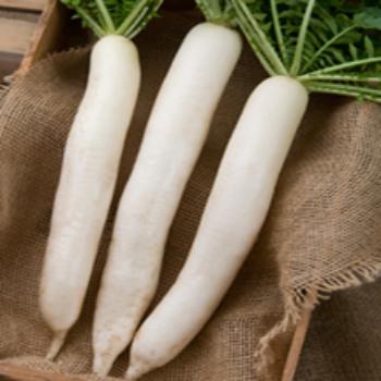 Sweet Pickled Daikon Radish