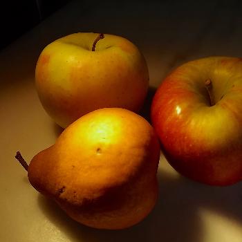 Open Apple Cake