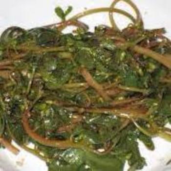 Sautéed Purslane with Garlic and Onions