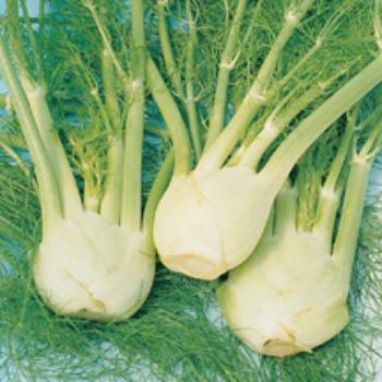 Shaved Fennel Salad