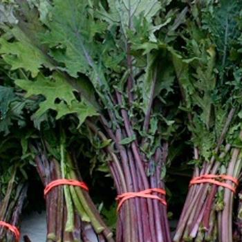 Kale Salad