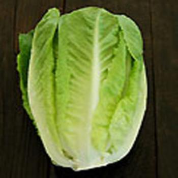 Caesar Salad with Romaine Lettuce